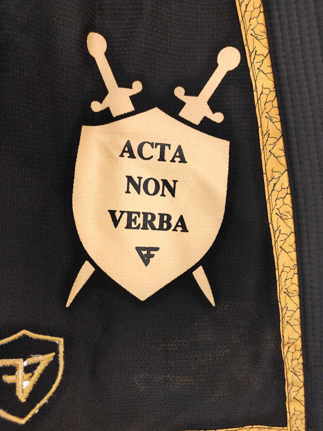 ANV Gi V2 - Black