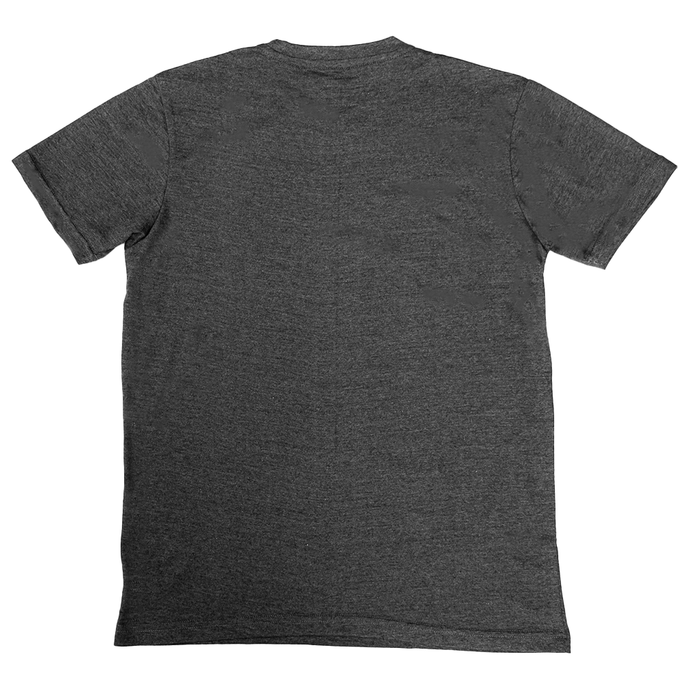 Jiu Jitsu T-shirt V2 Grey